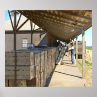 Packing Shed For Shipping Oranges Ontario CA 1915-