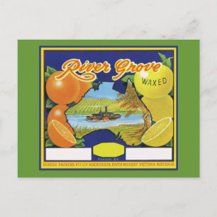 Paddle Boat on River Australia Postcard