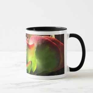 Paddle plant coffee mug