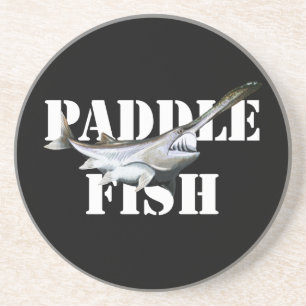 Paddlefish Coaster