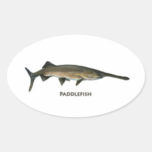 Paddlefish Oval Sticker