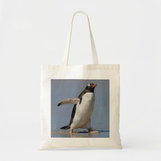 Paddling Gentoo Bag (Front)