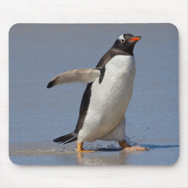 Paddling Gentoo Mousemat (Front)