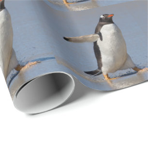 Paddling Gentoo Wrapping Paper