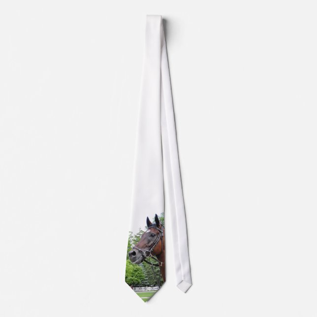 Paddock Horse Tie (Front)