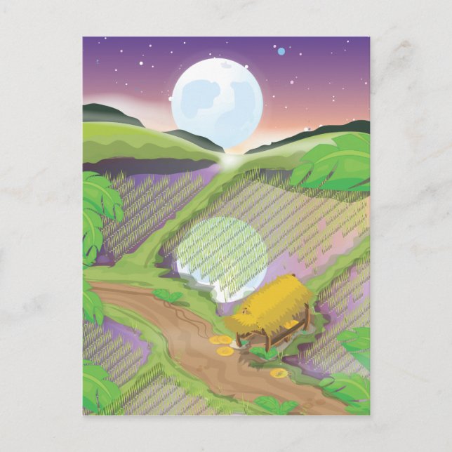 Paddy field postcard (Front)