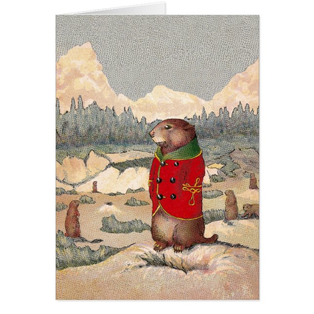 Paddy Paws in Prairie Dog Town (Front)