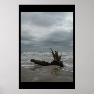 Padre Island - January 2004 Poster