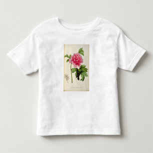 Paeonia Moutan, c.1799 Toddler T-Shirt