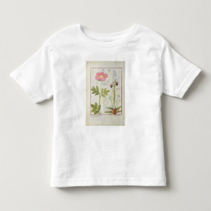Paeonia or Peony, and Orchis myanthos Toddler T-Shirt