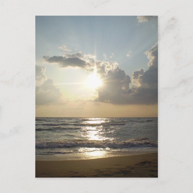 Paestum Beach Postcard (Front)