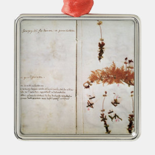 Page 15 from a Herbarium Metal Ornament