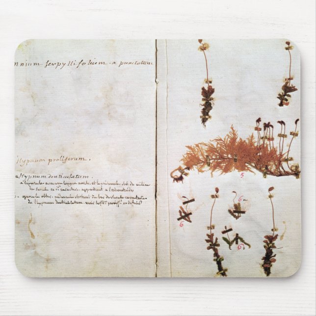 Page 15 from a Herbarium Mouse Pad (Front)
