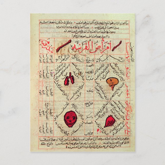 Page from the 'Canon of Medicine' by Avicenna Postcard (Front)