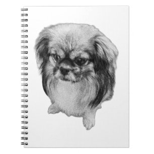 Pages of Dignity Notebook