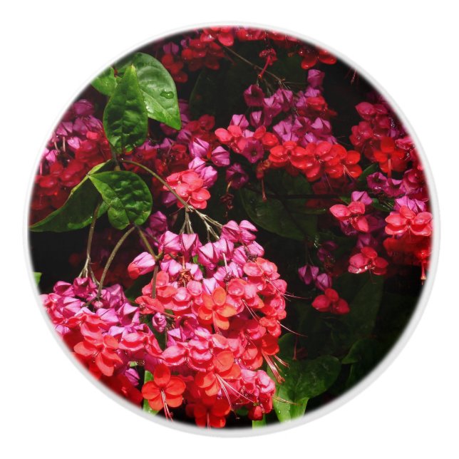 Pagoda Flowers Colourful Red and Pink Ceramic Knob (Front)