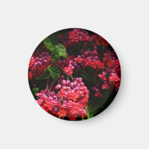 Pagoda Flowers Colourful Red and Pink Magnet