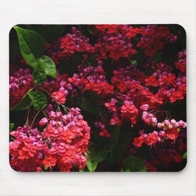 Pagoda Flowers Colourful Red and Pink Mouse Pad (Front)