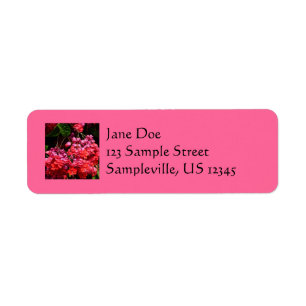 Pagoda Flowers Colourful Red and Pink Return Address Label
