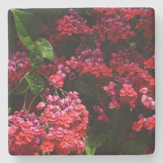 Pagoda Flowers Colourful Red and Pink Stone Coaster (Front)