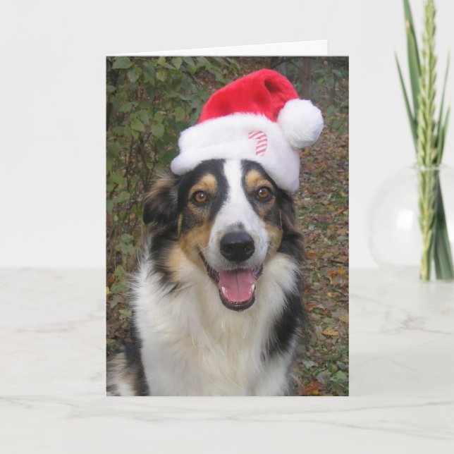 "Paige playing Santa!" Holiday Card (Front)