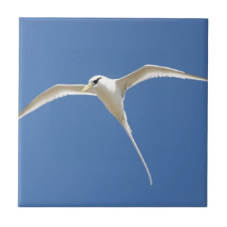 Paille birds in Queue Mauritius Ceramic Tile