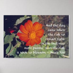 Pain and Risk - Anais Nin - poster
