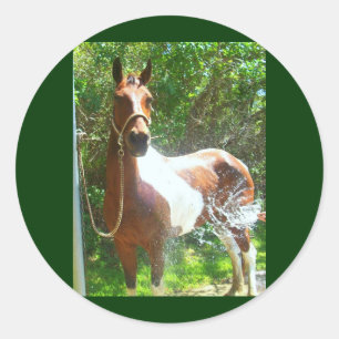 Paint Bath Classic Round Sticker