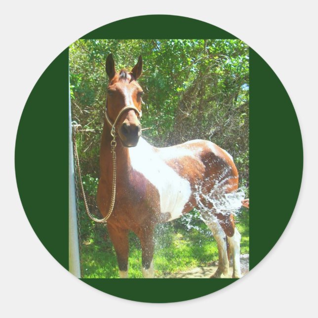 Paint Bath Classic Round Sticker (Front)