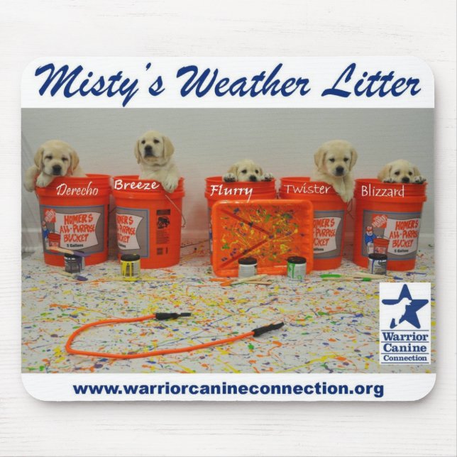 Paint Bucket Puppies Mouse Pad (Front)