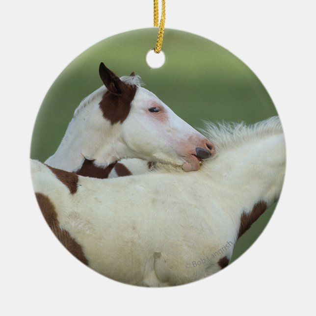 Paint Foals Playing Ceramic Tree Decoration (Front)