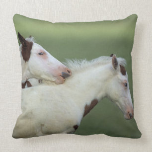 Paint Foals Playing Cushion