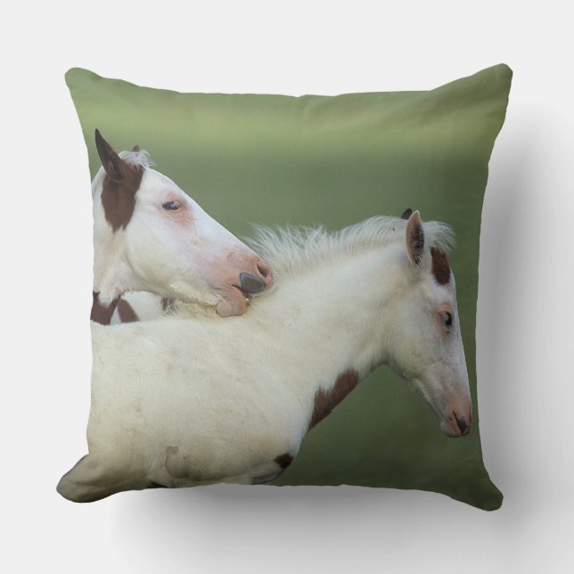 Paint Foals Playing Cushion (Front)