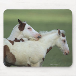 Paint Foals Playing Mouse Pad