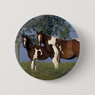 Paint HMare & Foal 6 Cm Round Badge