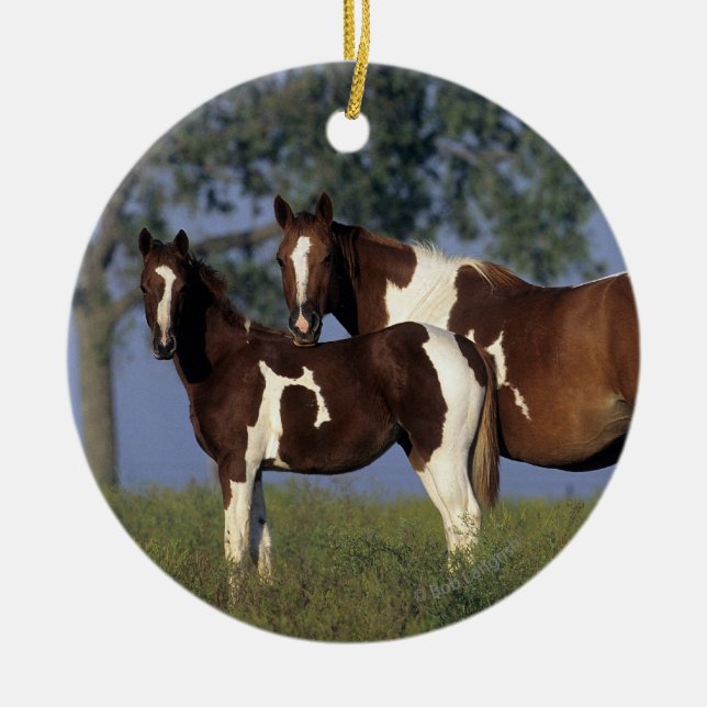 Paint HMare & Foal Ceramic Ornament (Front)