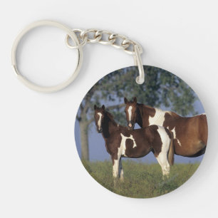 Paint HMare & Foal Key Ring