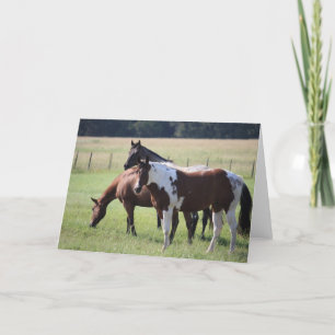 Paint Horse and Friends Card