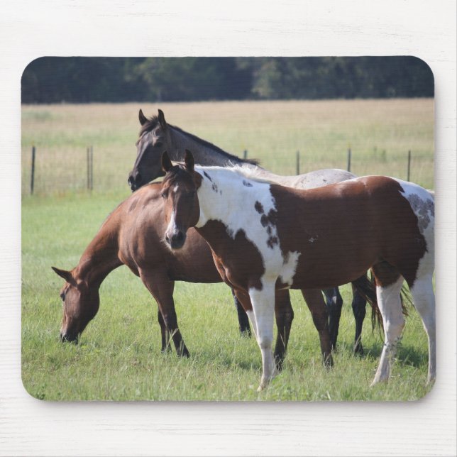 Paint Horse and Friends Mouse Pad (Front)