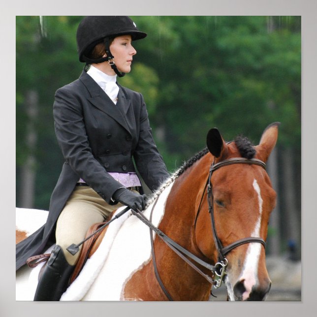 Paint Horse at Show Poster (Front)