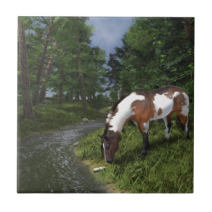 Paint Horse by Forest Stream Tile