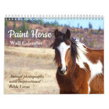 Paint Horse Calendar 2025 Animal Photography