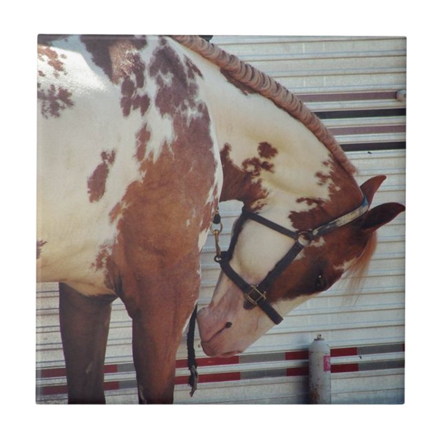 Paint horse ceramic tile (Front)