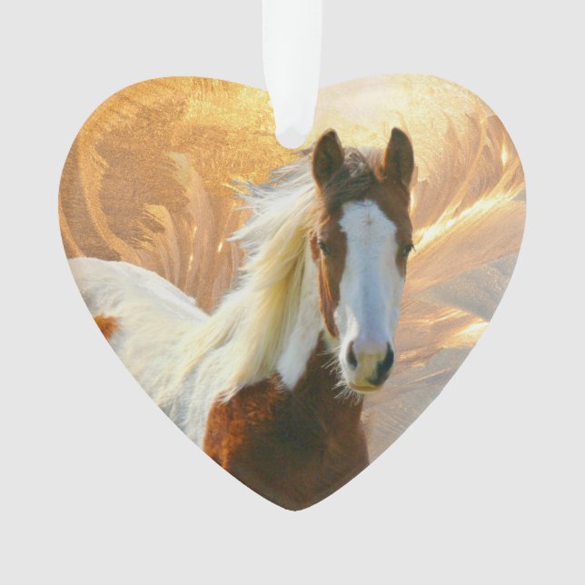 Paint Horse Christmas Ornaments (Front)