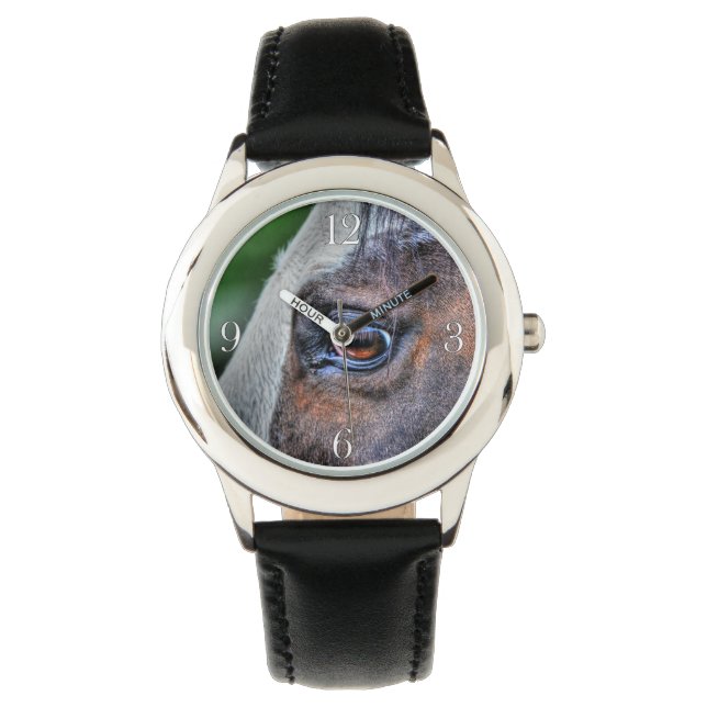Paint Horse Eye Equine Photo Portrait Watch (Front)