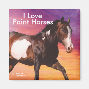 Paint Horse galloping sunrise Magnet