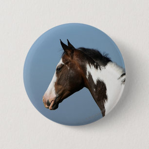 Paint Horse Headshot 1 6 Cm Round Badge