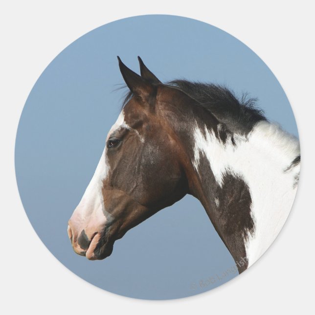 Paint Horse Headshot 1 Classic Round Sticker (Front)