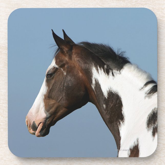 Paint Horse Headshot 1 Coaster (Front)