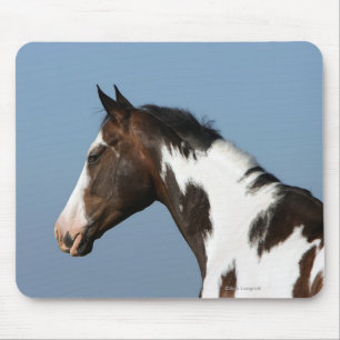 Paint Horse Headshot 1 Mouse Pad